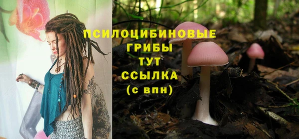 кокс Алзамай